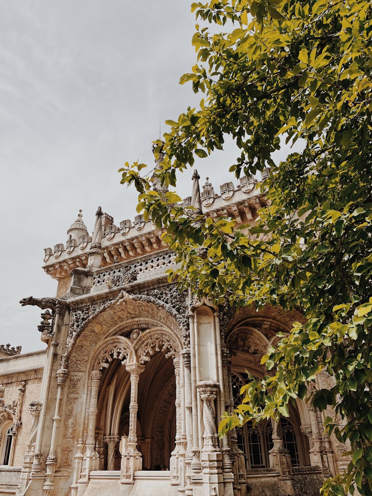 Decorative Palace, And A Tree