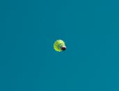 Low-Angle Shot of a Shuttlecock