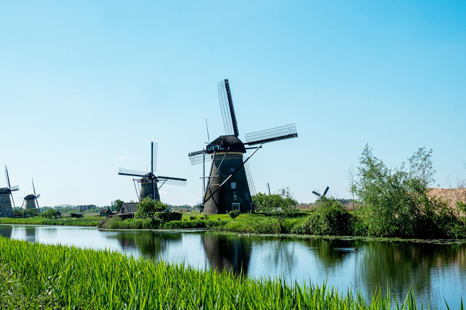 Iconic windmills at Kinderdijk reflect on a serene canal