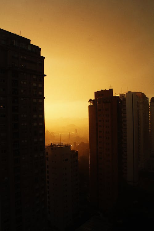 Silhouette of High Rise Buildings during Sunset