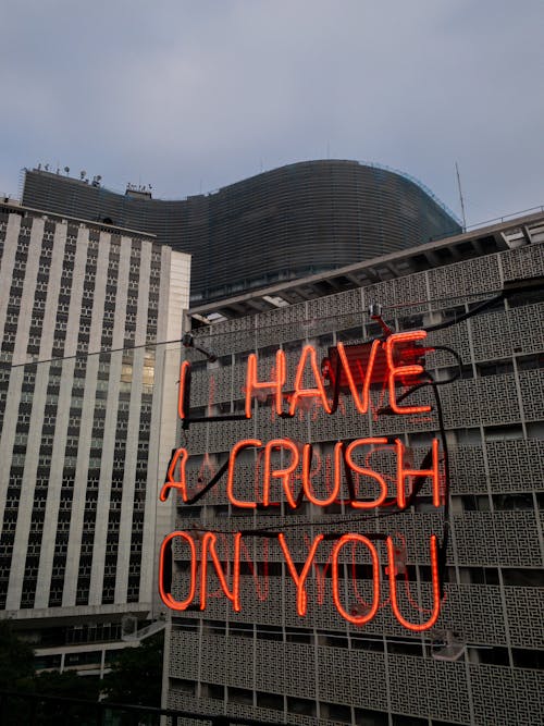 I Have a Crush on You Neon Signage