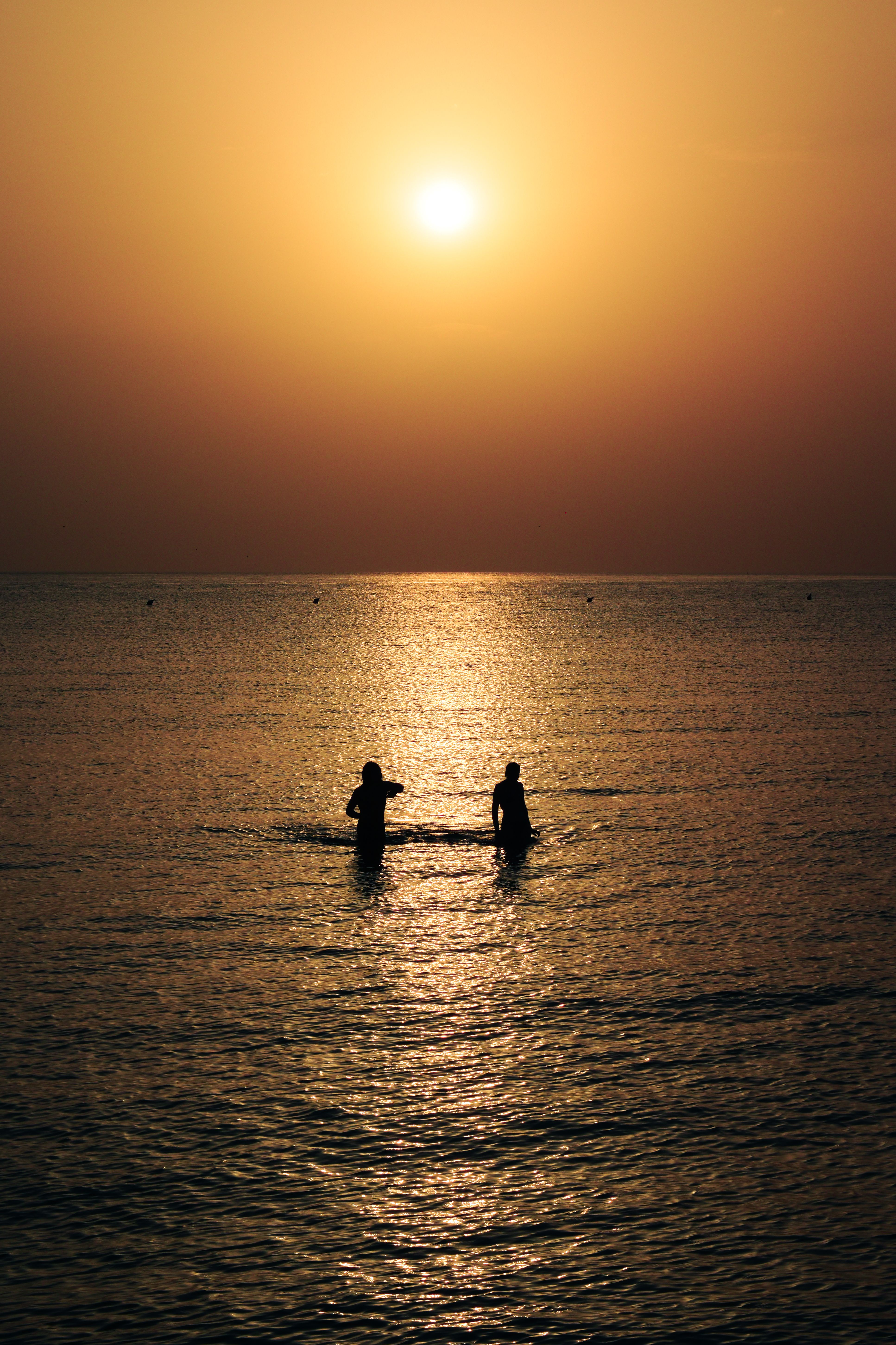 Silhouettes of People Swimming in the Sea · Free Stock Photo