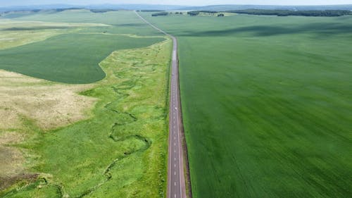 A Long Road on the Middle of Green Landscape