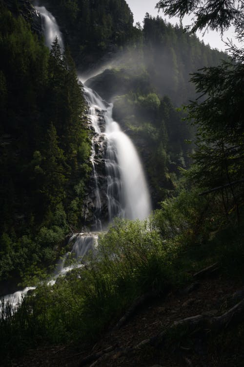 Photos gratuites de cascade, en cascade, forêt