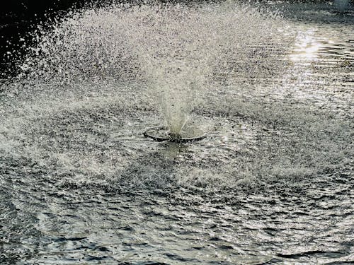 Základová fotografie zdarma na téma kontrast, vodní fontána, zimní světlo