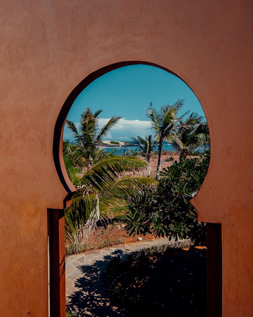 Palm Trees Seen through Gate