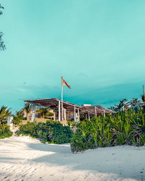 Kostnadsfri bild av exotisk, havet, sand