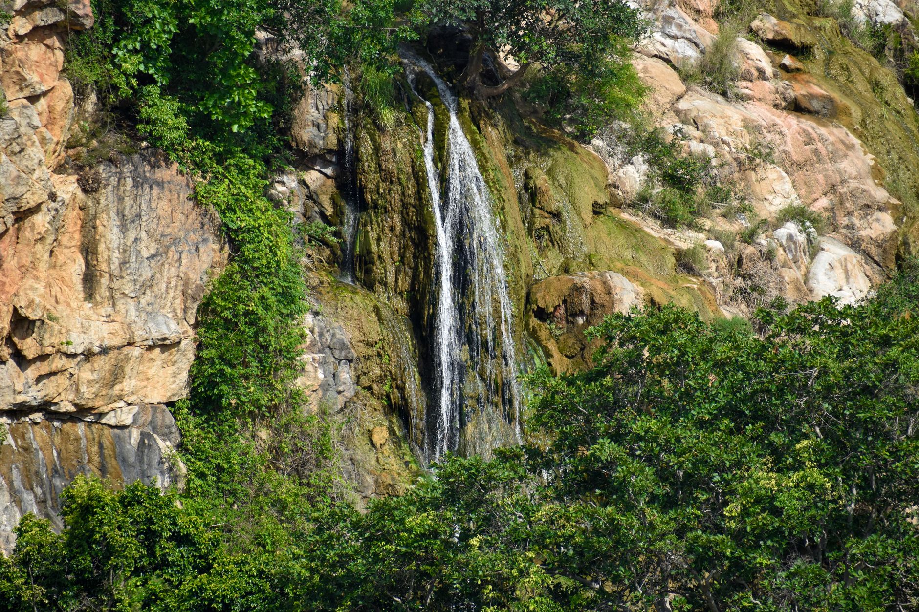 15 Texas State Parks That Feel Like Big Bend Without the 6-Hour Drive 4 A tranquil waterfall flowing through rocks and green trees in Chamarajnagar, India.