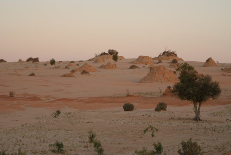 Stage été