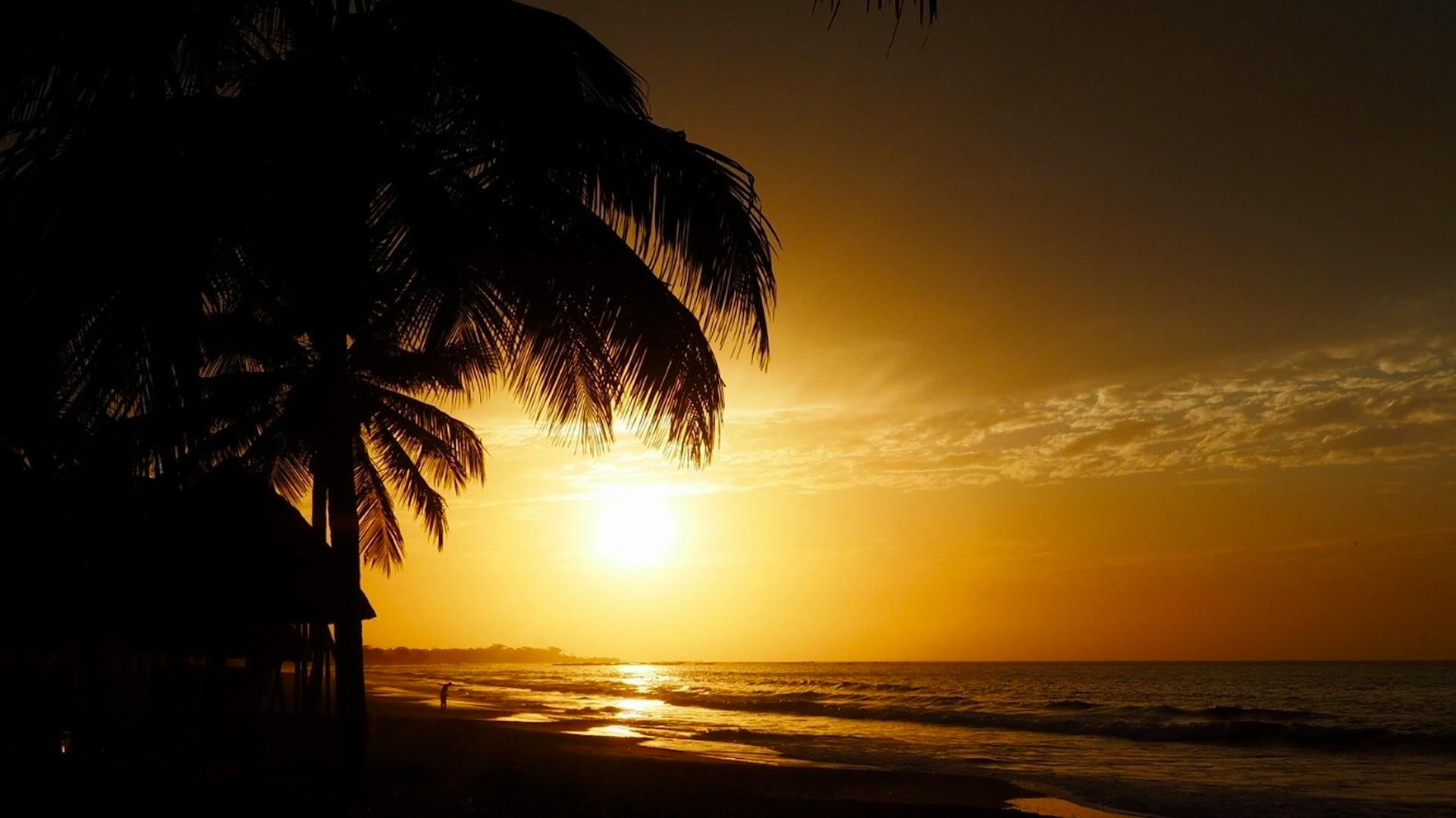 Golden sunset over a Gambia beach with silhouette palm trees and serene seascape.