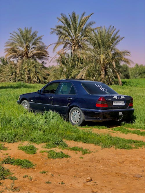 Black Car on Grass Field