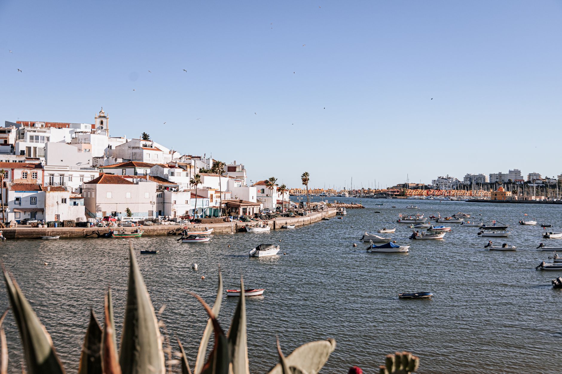 Faro