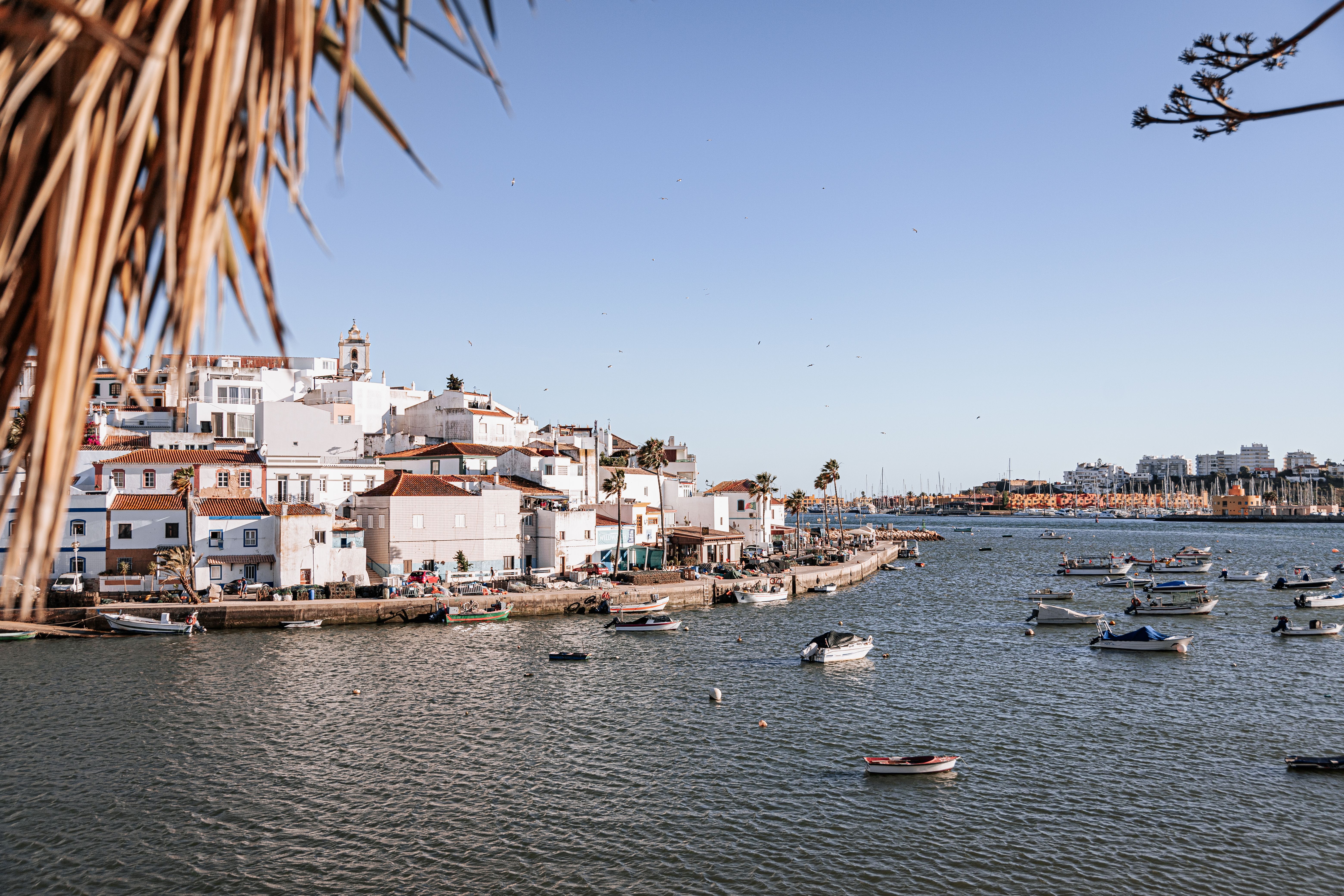 faro old town cidade velha walls cathedral lagoon portugal
