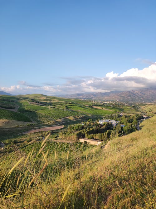 Kostenloses Stock Foto zu berge, blauer himmel, feld