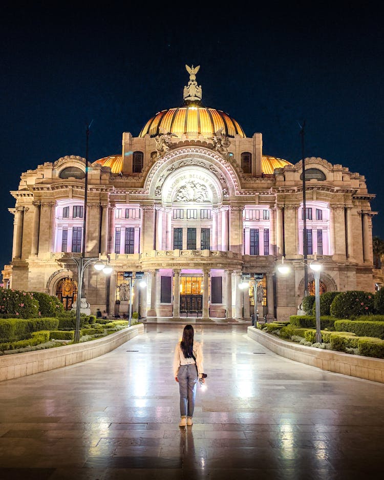 A Woman Looking At The Palacio De Bellas Artes In Mexico