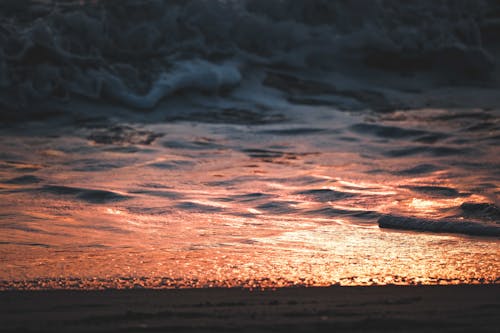 岸邊, 日落, 晚間 的 免費圖庫相片