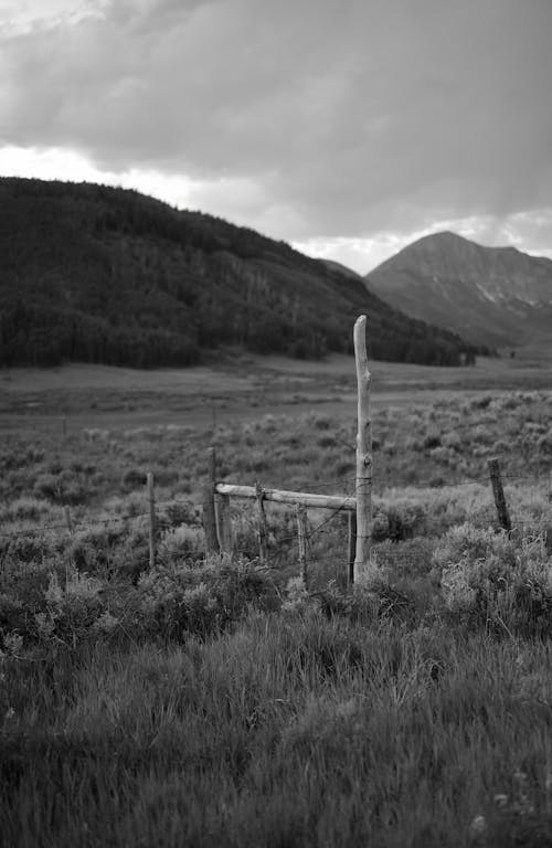 A Grayscale Photo of Grass Field Near the Mountain