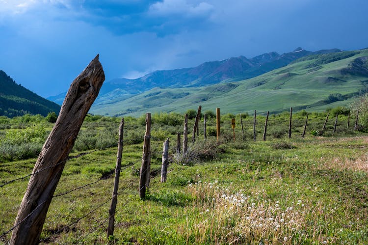 Wooden Post With Barbed Wires