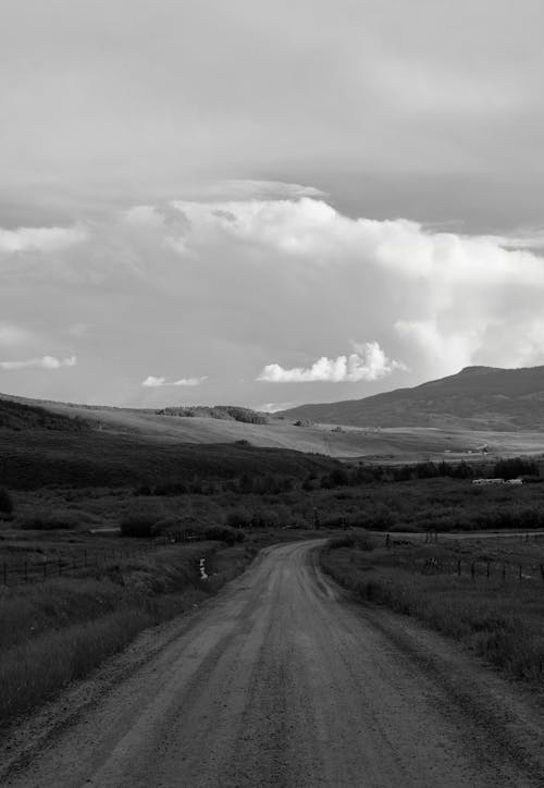 Fotos de stock gratuitas de blanco y negro, camino de tierra, campo