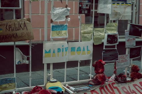 Ingyenes stockfotó bánat, bannerek, demonstráció témában