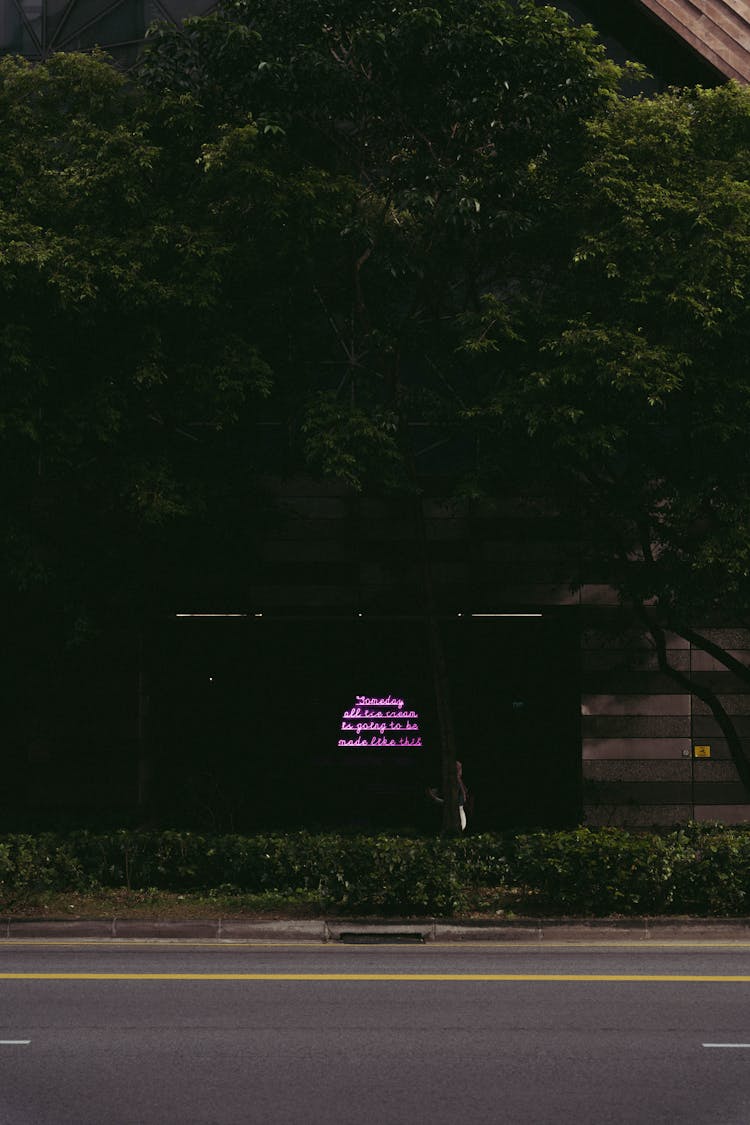 Lilac Neon And A Tree By Road