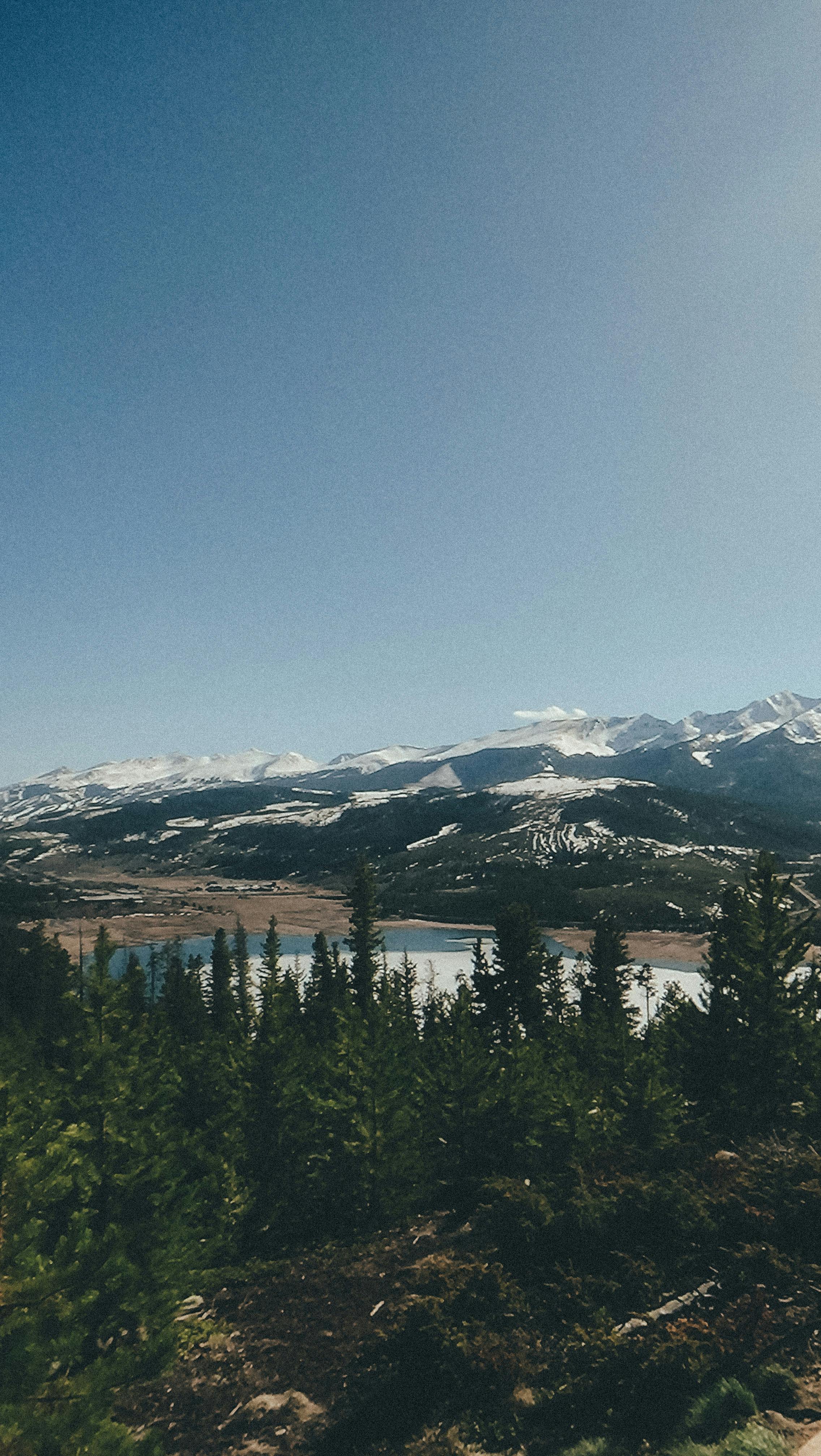 Scenic view of snow-covered mountains and lush green trees under a clear blue sky.