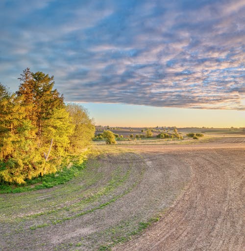 Imagine de stoc gratuită din câmp, cer înnorat, la țară