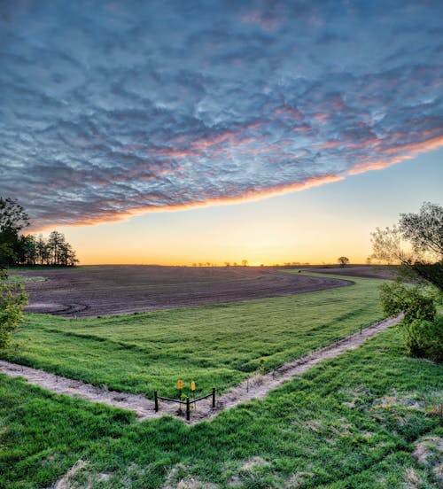 Foto d'estoc gratuïta de a l'aire lliure, agricultura, camp