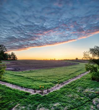 Beautiful sunset over an expansive countryside field in Minnesota, showcasing vibrant colors and open landscape.