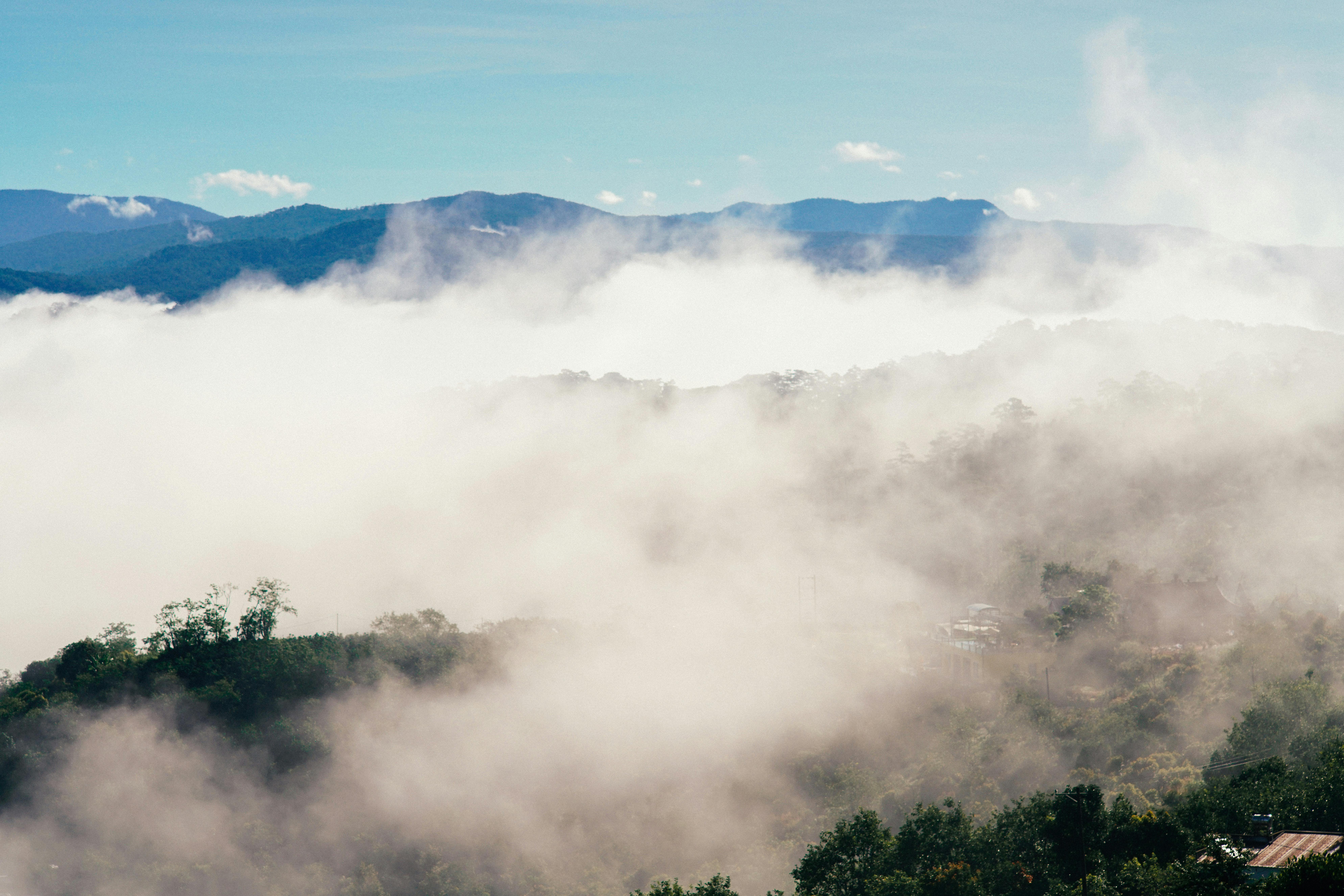 Serene morning mist enveloping the lush Dalat mountains in Vietnam, capturing a tranquil and foggy landscape.