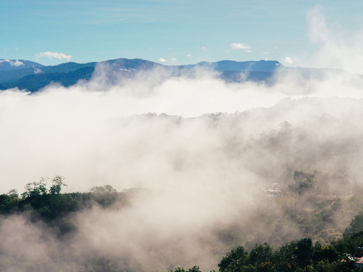 7 Day Return to Joy Wellness Retreat, San Miguel, Mexico 2
