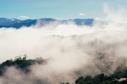 Free Serene morning mist enveloping the lush Dalat mountains in Vietnam, capturing a tranquil and foggy landscape. Stock Photo