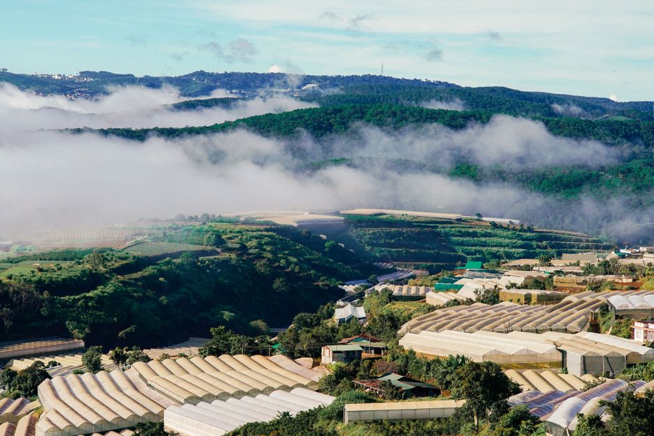 Aerial view of greenhouses amidst misty hills in Dalat, Vietnam, showcasing lush landscapes.