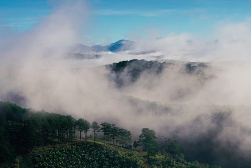Free A breathtaking aerial view of a misty forest and mountain range in Dalat, Vietnam. Stock Photo