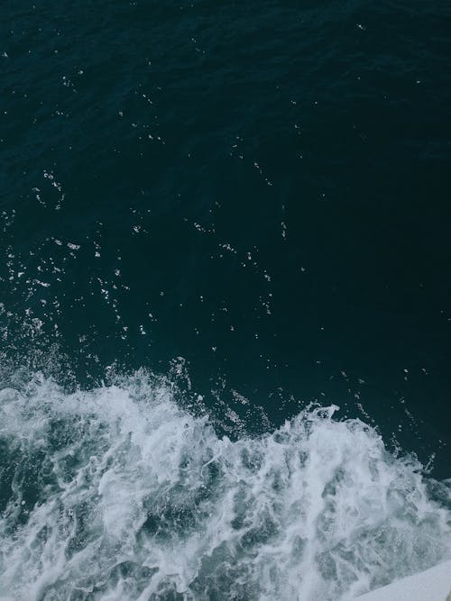 dalgalar, deniz, Deniz köpüğü içeren Ücretsiz stok fotoğraf