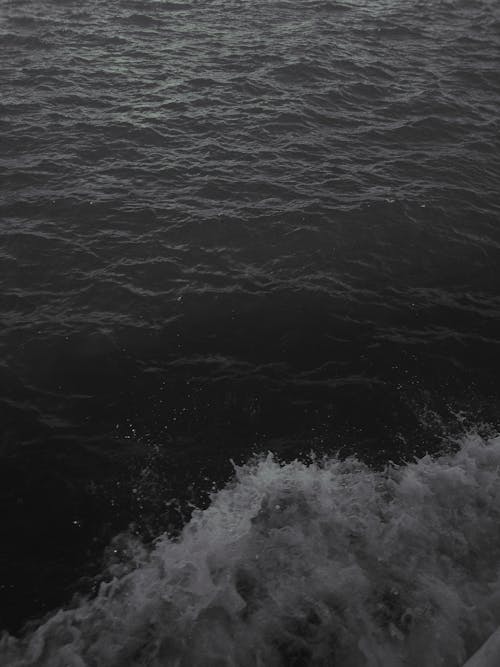 คลังภาพถ่ายฟรี ของ ขาวดำ, ทะเล, ภาพถ่ายทางอากาศ
