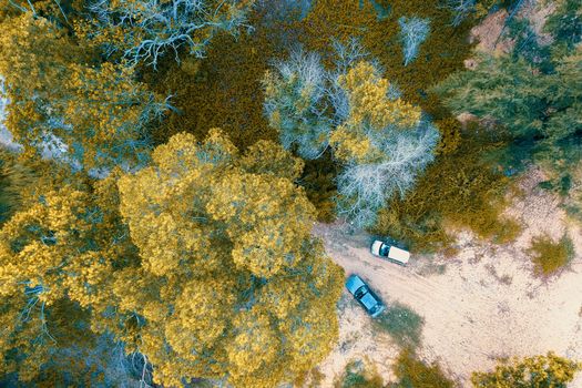 High-angle shot of a forest in fall with two parked cars, capturing autumn colors from above.