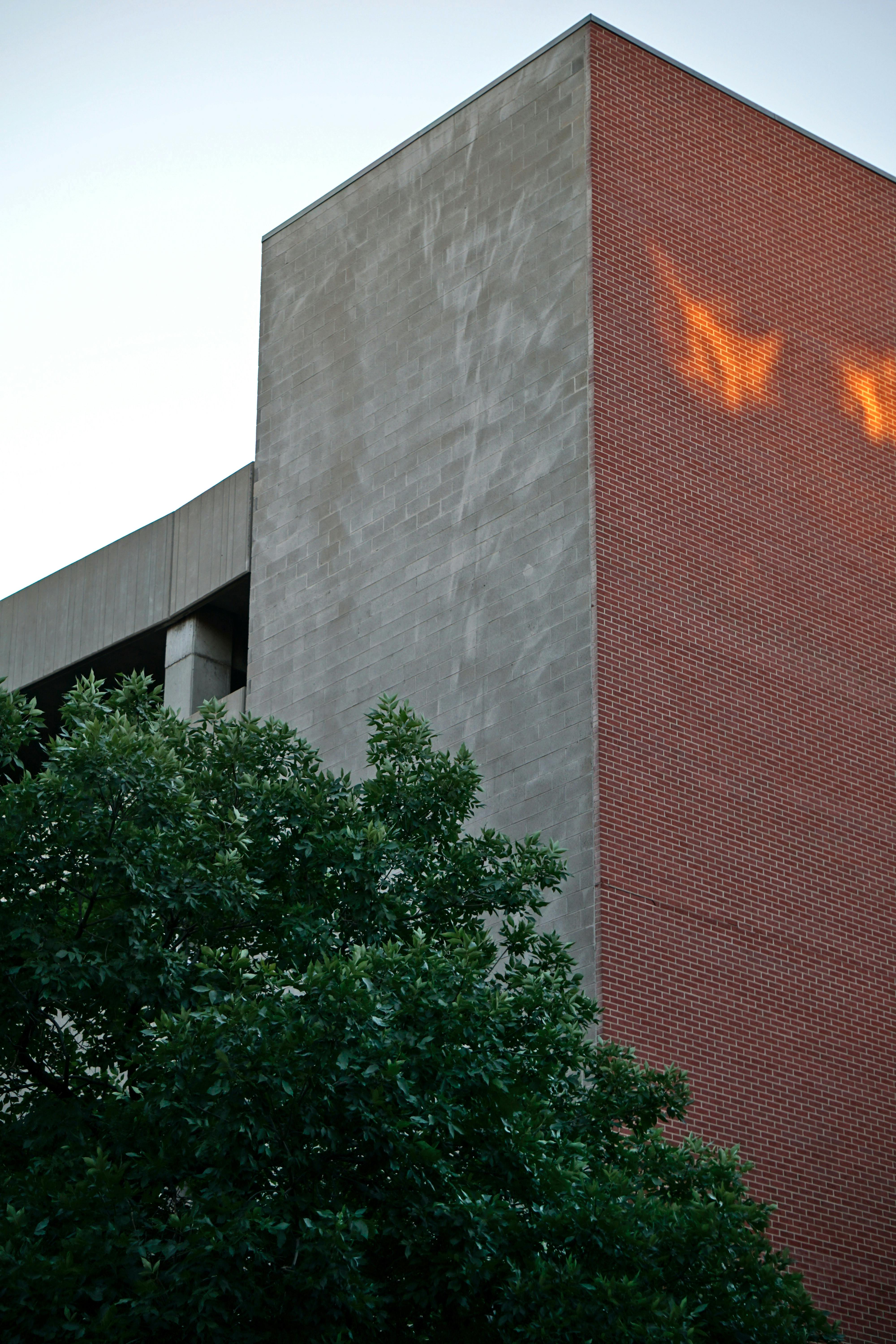 Photo by Joshua Brown