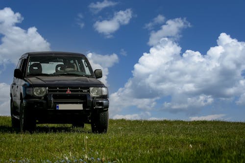 A Black Mitsubishi Pajero Parked on Green Grass Field