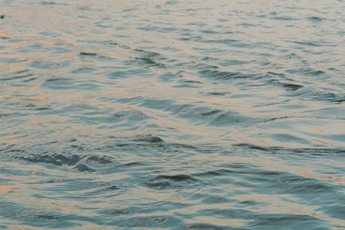 Body of Water Surface