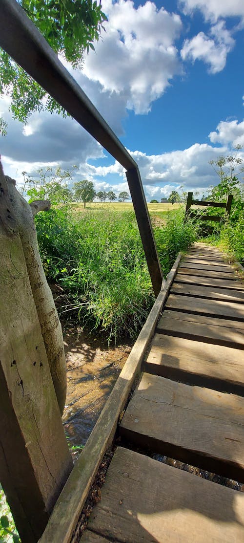 Immagine gratuita di azienda agricola, camminando, campagna