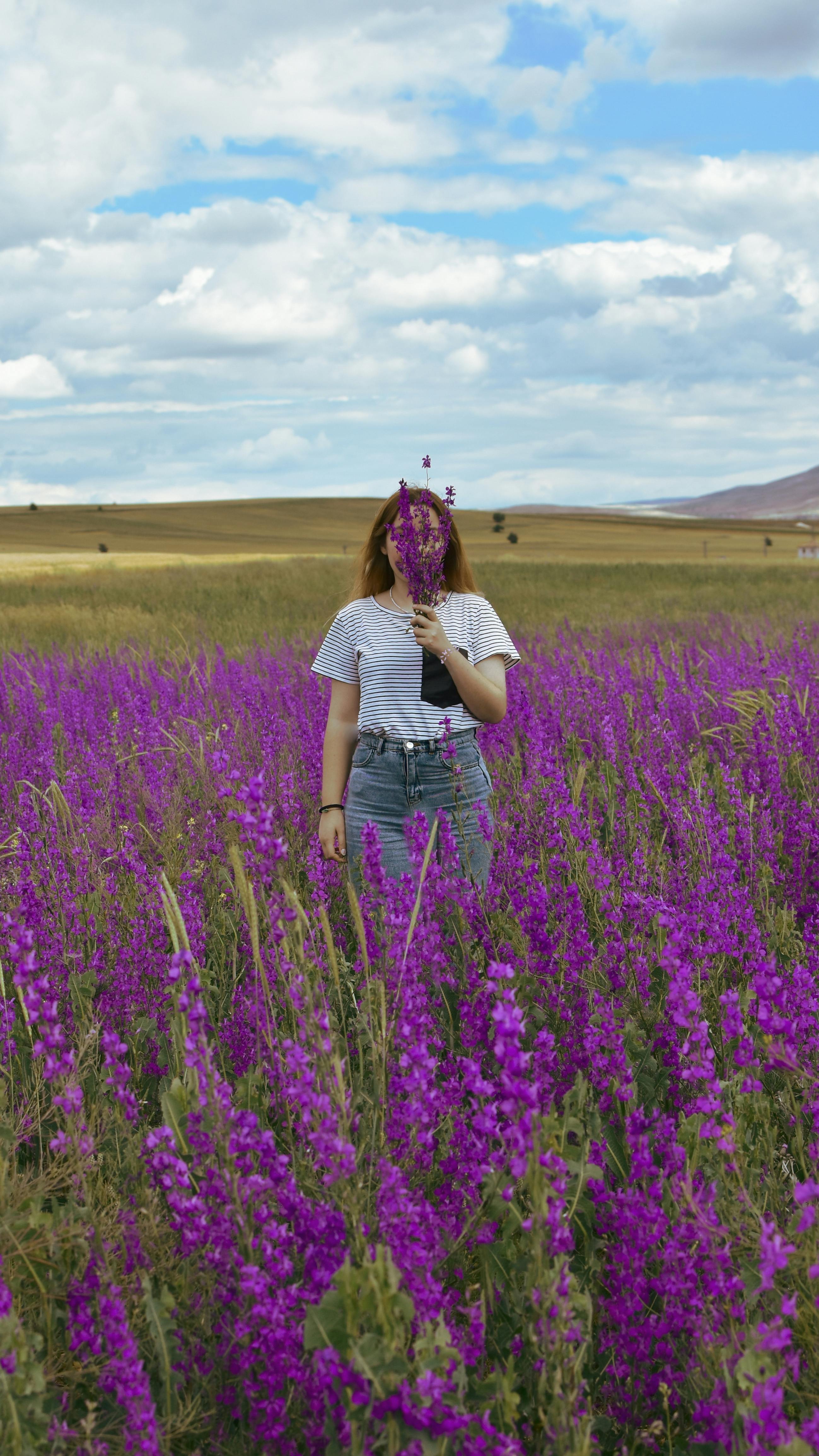 + Fotos y Imágenes de Lavanda en flor Gratis · Banco de Fotos Gratis