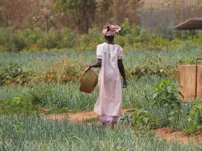 African farmland where ancient grains have been cultivated for thousands of years