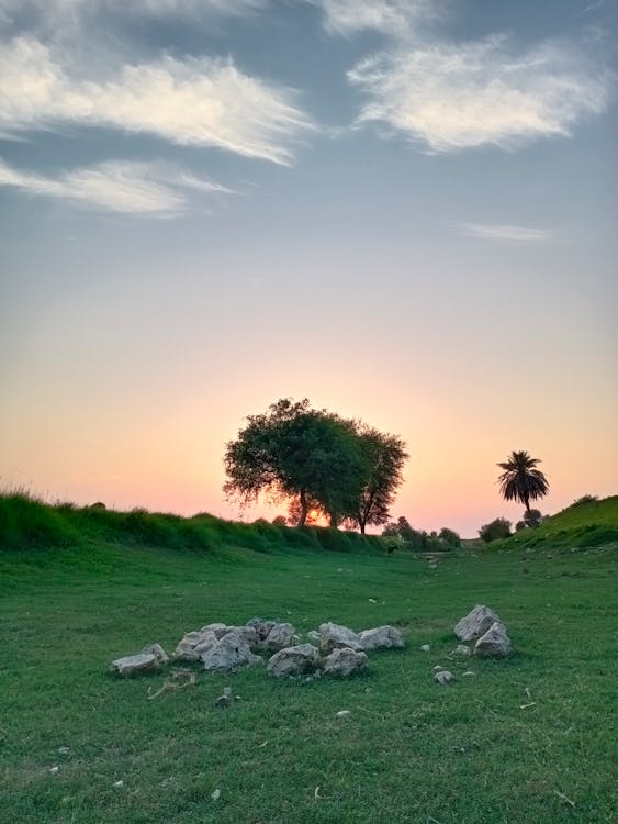 A Green Grass Field with Rocks Under the Blue Sky and White Clouds