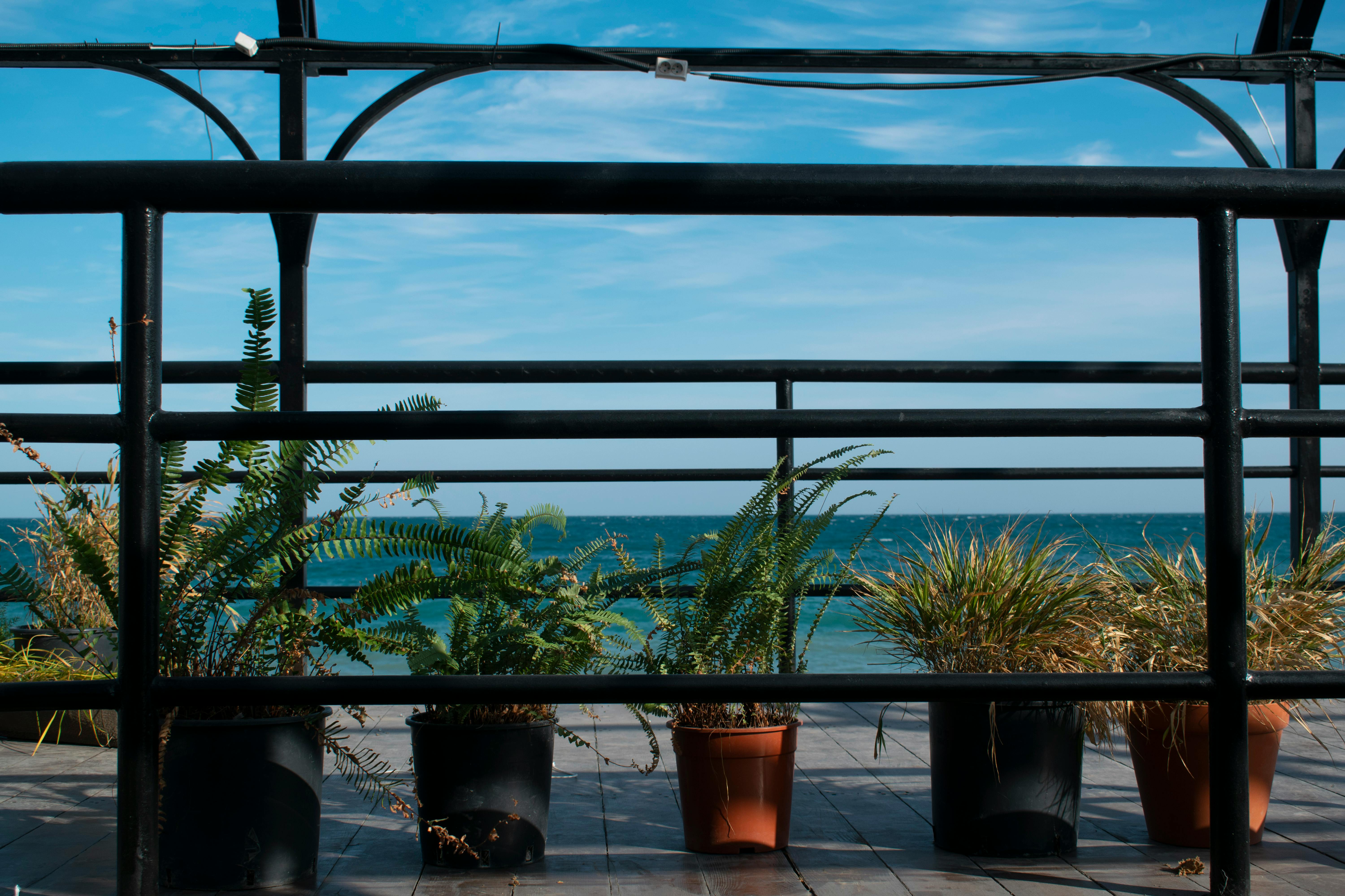 Petit déjeuner au balcon