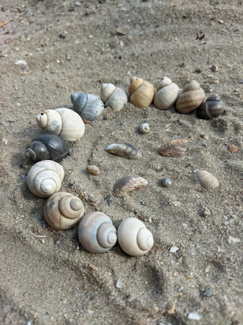 Free stock photo of fantasy, horseshoe, sand