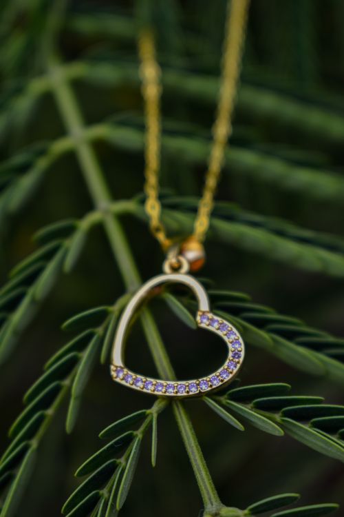 Free Close-up of a sparkling gold necklace with heart-shaped pendant set against lush green leaves. Stock Photo
