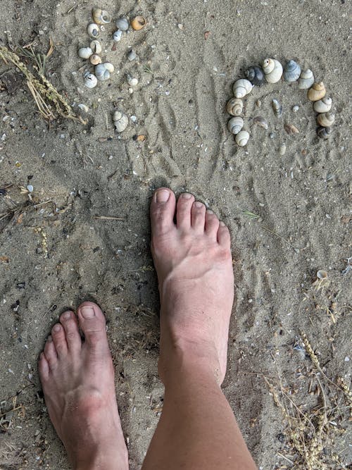 Gratis lagerfoto af женские ноги, отдых, песок