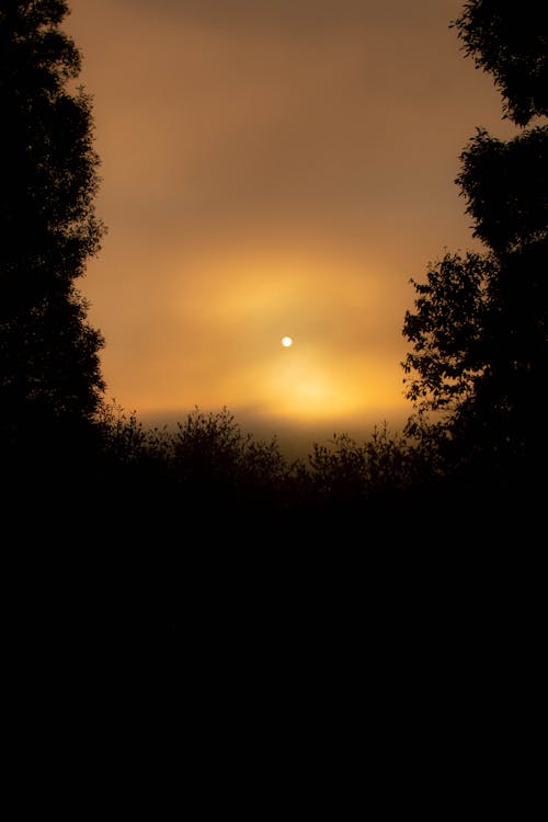 Základová fotografie zdarma na téma dramatický, malebný, příroda