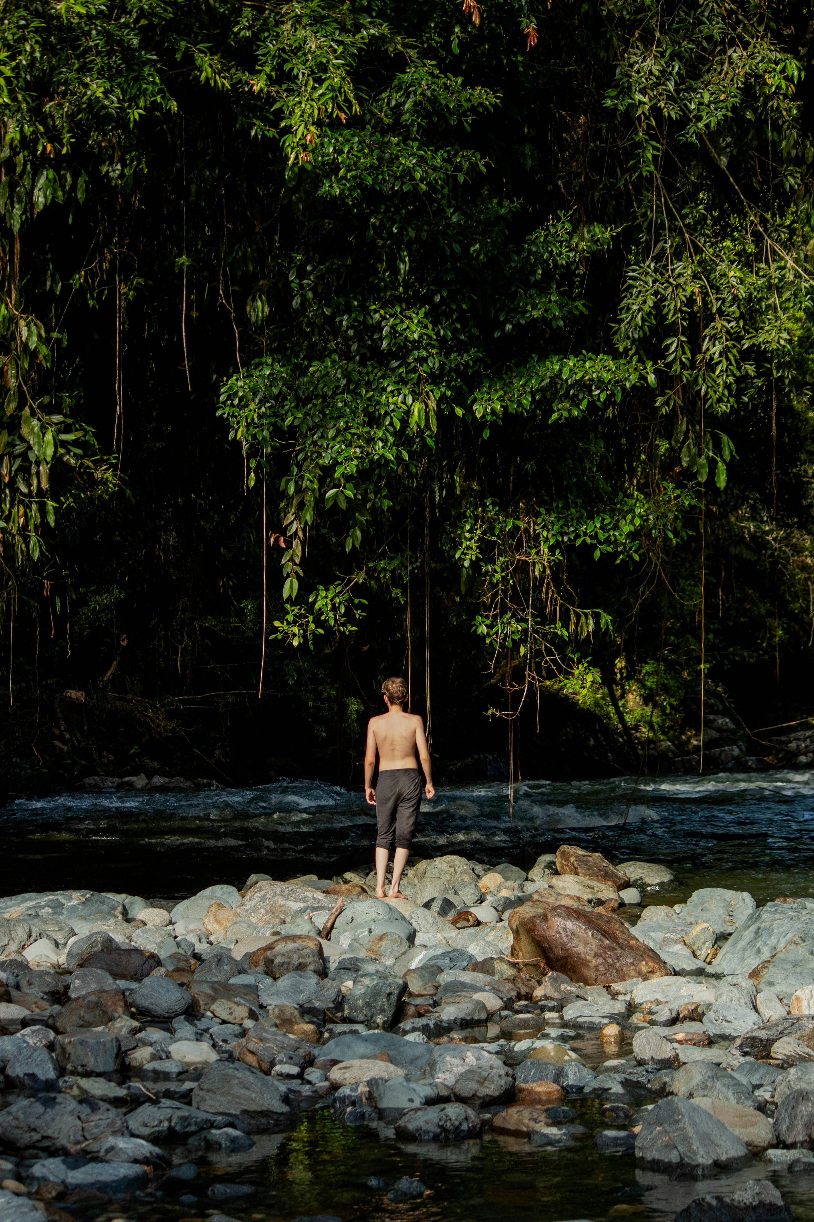 Man in Black Shorts Back Flipping Into River during Daytime · Free ...